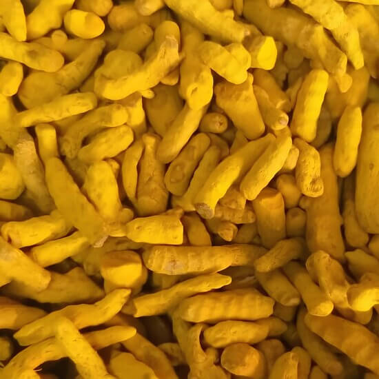 Thick and golden turmeric sticks.