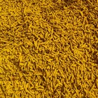 Turmeric sticks spreaded out, covering the entire picture.