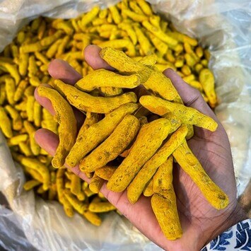 A person holding out a handful of turmeric sticks, showcasing their quality and rich color.