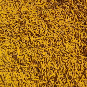 Turmeric sticks spreaded out, covering the entire picture.